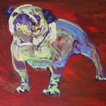 bulldog - ritratto