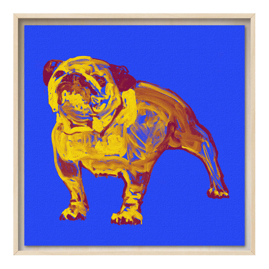 Arte Accessibile, BullDog PopArt